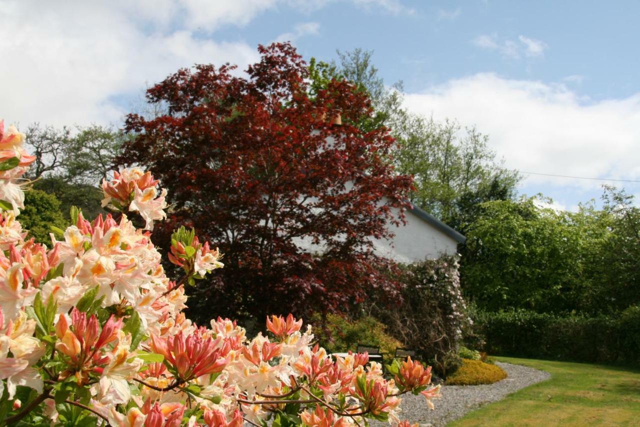Laich Cottage Appin Екстериор снимка